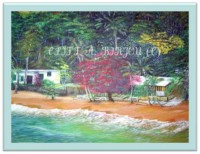 /album/landscapes/charlotteville-in-june-jpg/